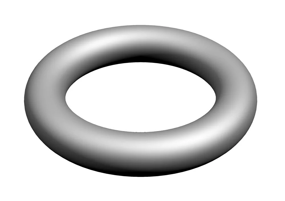Bosch Joint torique (10x)