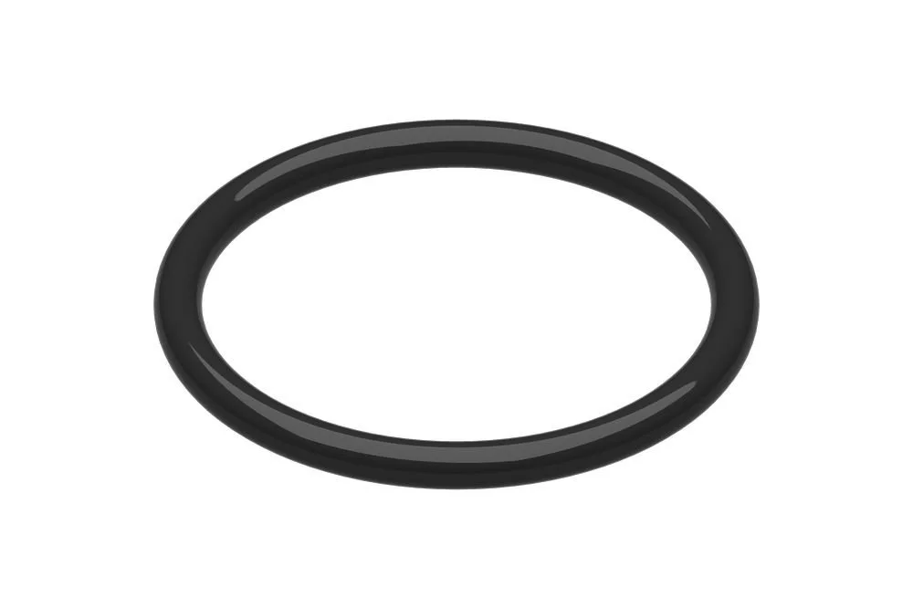 Bosch Joint torique (10x)