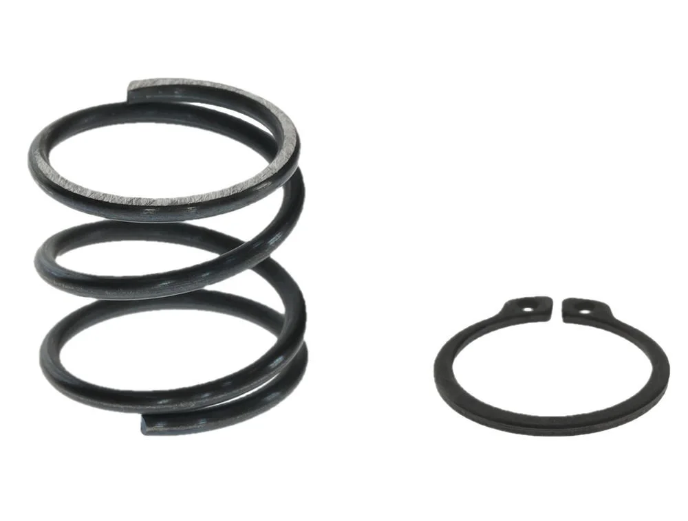 Bosch ressort 2,5x25,5x24 DIN 2099