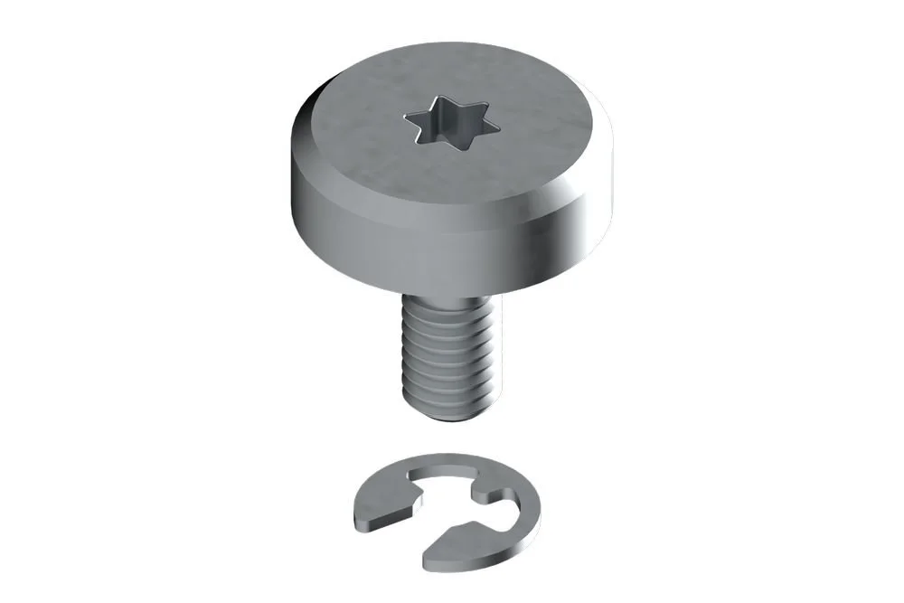 Bosch Vis + rondelle (2x)